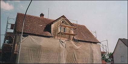 Dach, bewachsen